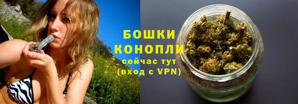 дживик Богданович