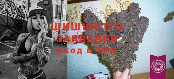 молекула духа Богородск