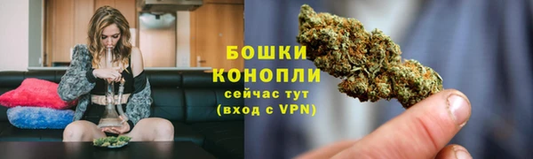 дживик Богданович