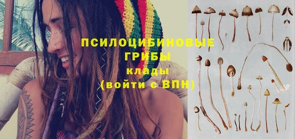 молекула духа Богородск