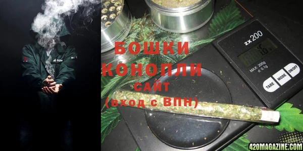 молекула духа Богородск