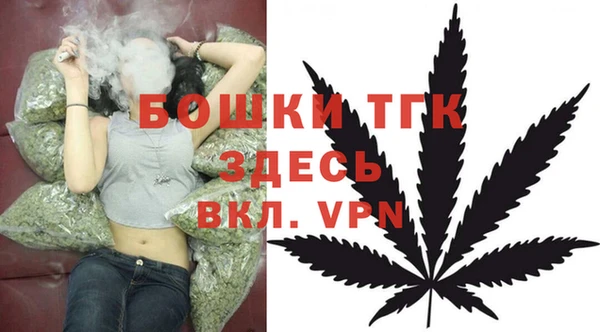 mdma Богородицк
