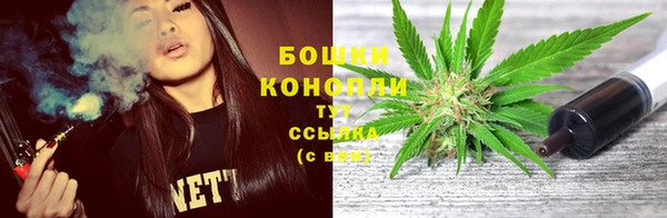 молекула духа Богородск