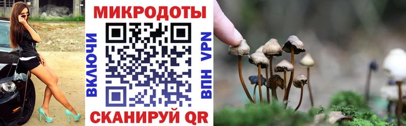 Псилоцибиновые грибы прущие грибы  что такое наркотик  Фёдоровский 